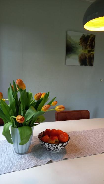 Woudthuisje Laag-Soeren Extérieur photo
